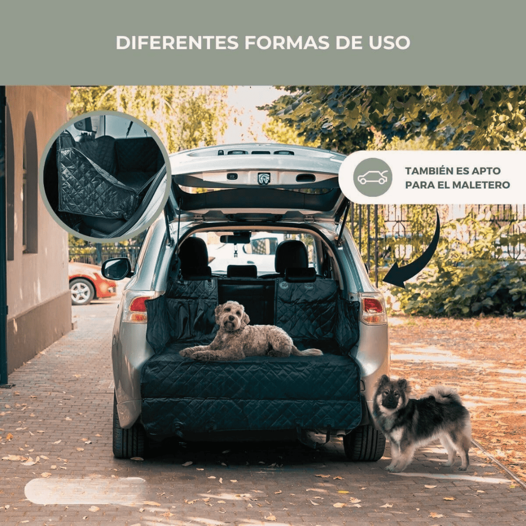 PETMAX™: PROTECCIÓN 360° PARA TU AUTO Y CONFORT TOTAL PARA TU MASCOTA